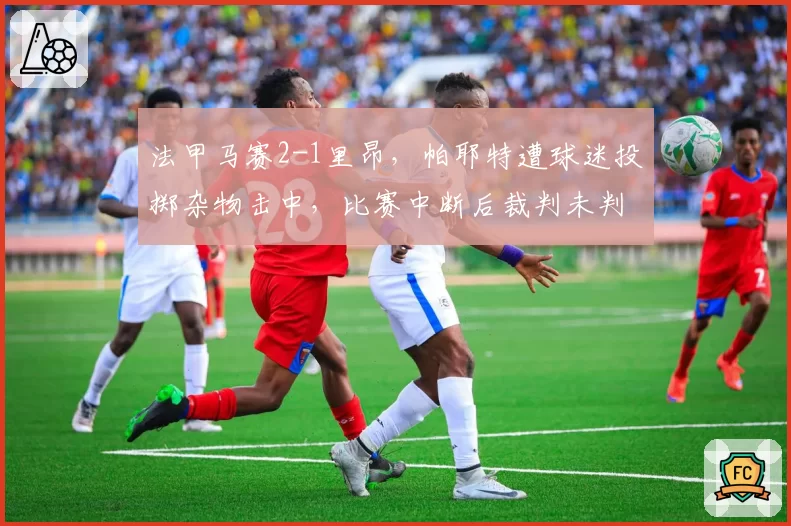 法甲马赛2-1里昂,帕耶特遭球迷投掷杂物击中,比赛中断后裁判未判罚引发争议