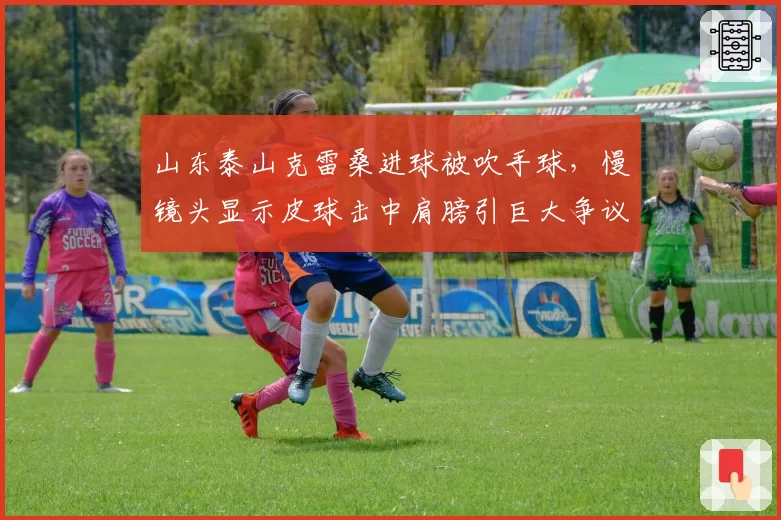 山东泰山克雷桑进球被吹手球,慢镜头显示皮球击中肩膀引巨大争议