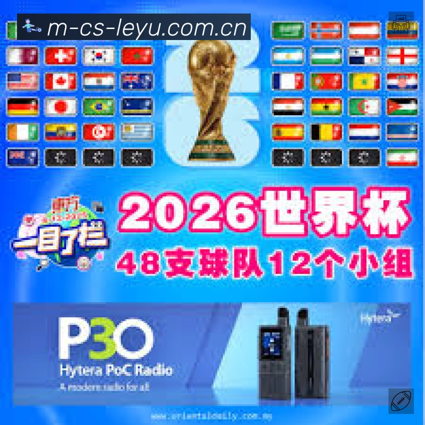 看点解析